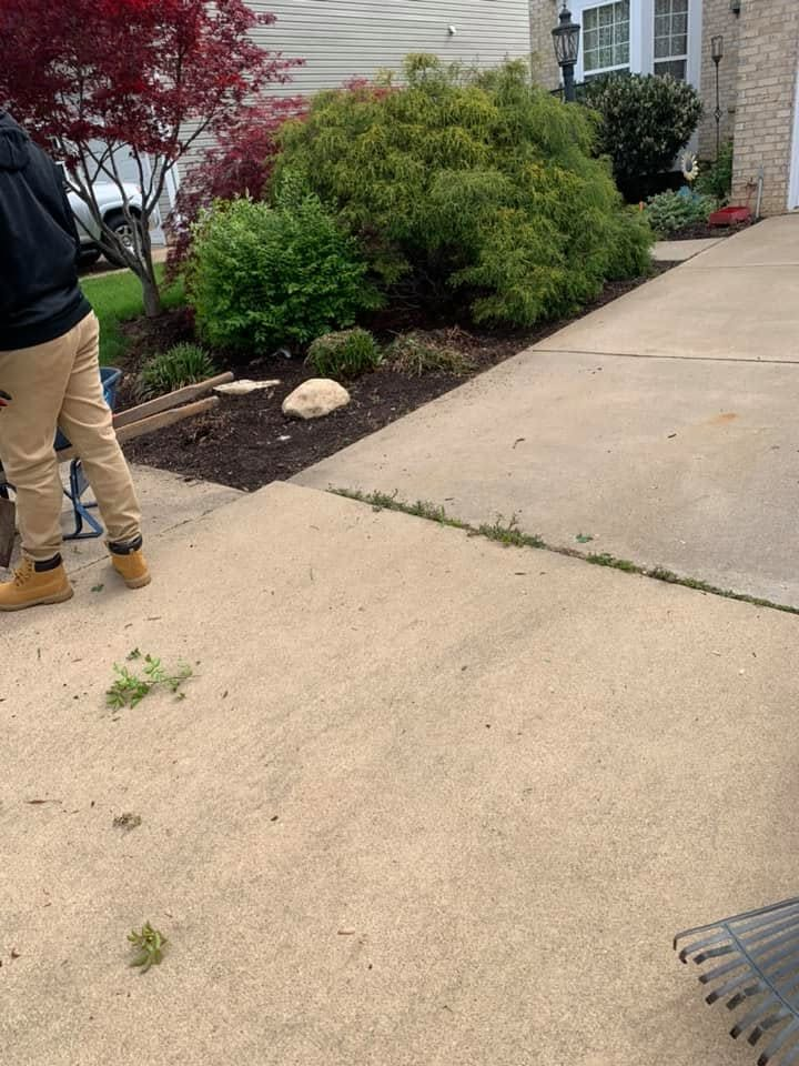 Person standing on a driveway beside shrubs and a house, with a rake in the corner