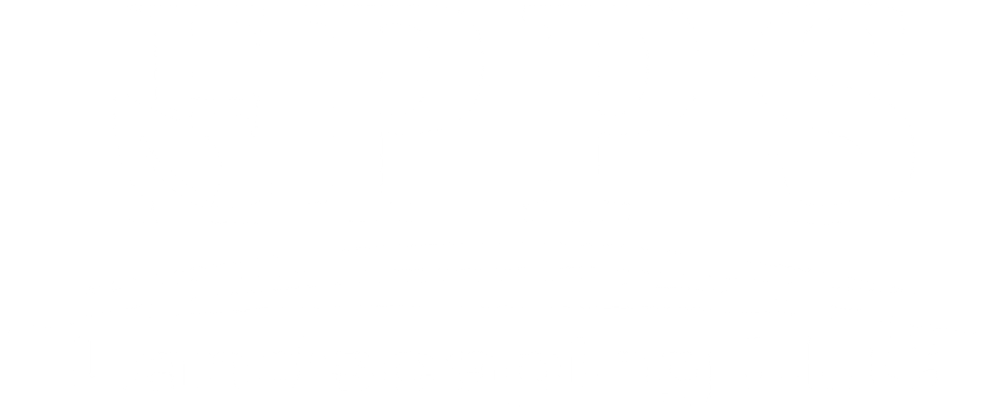 A mostly blank white image with a thin light-blue horizontal line near the bottom and a gray area below.