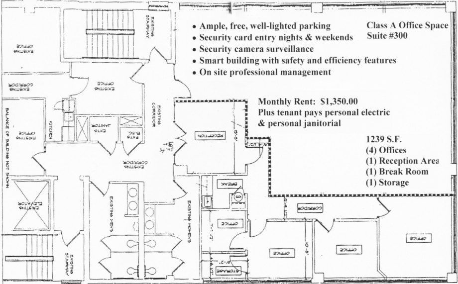 Richmond Road  - Floor Plan 2