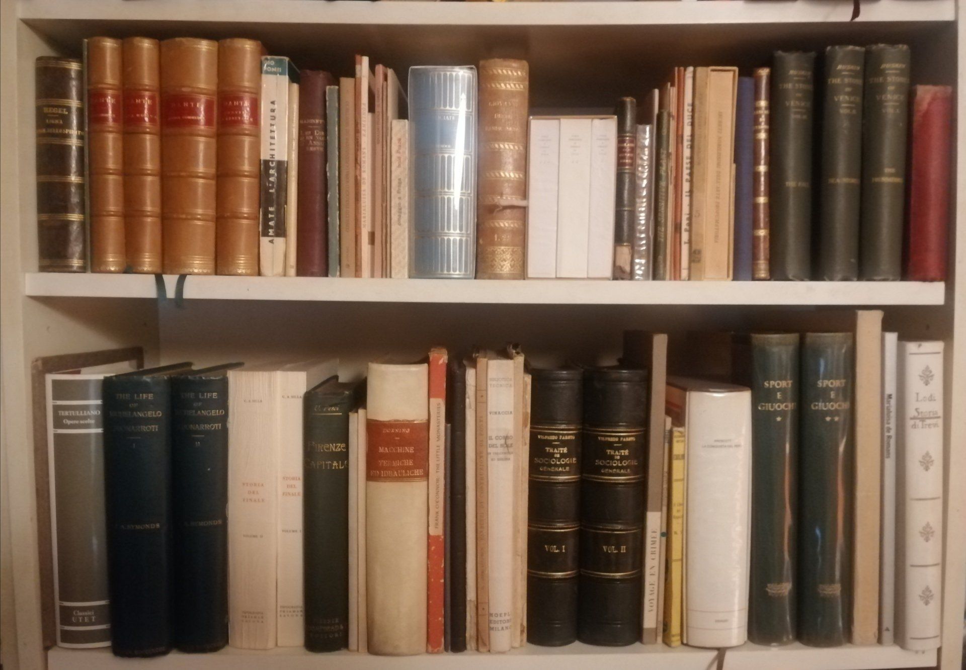 Books arranged on two white shelves, mostly leather-bound volumes in brown, black, and cream tones.