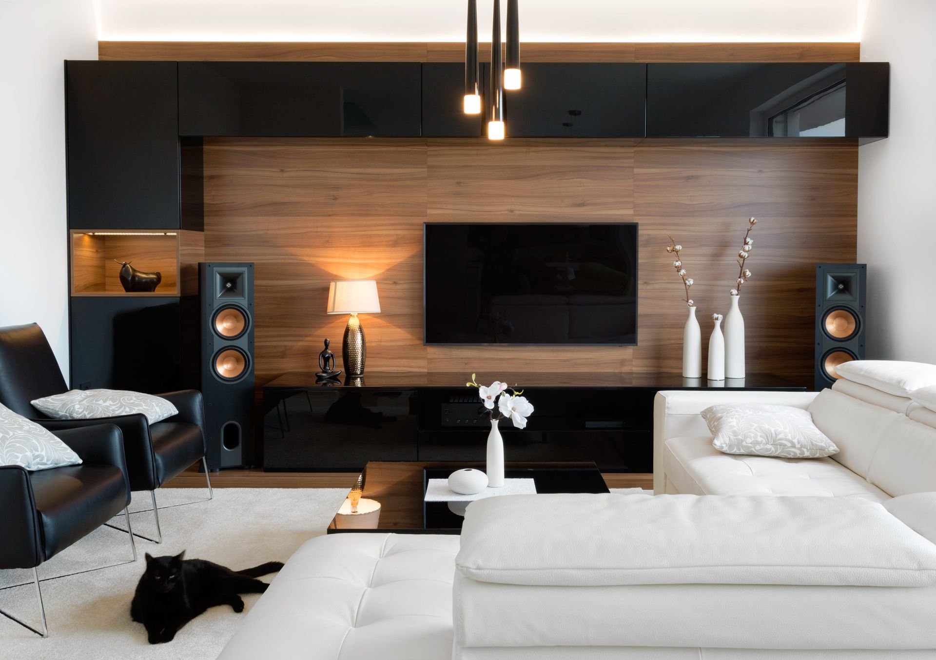 Modern living room with black and wood accent wall, TV, speakers, and white sectional sofa. A black cat rests on the rug.