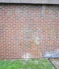 Brick wall with white and blue water stains above a strip of grass and sidewalk edge