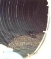 Inside a large corrugated pipe, with leaves and debris scattered on the bottom.