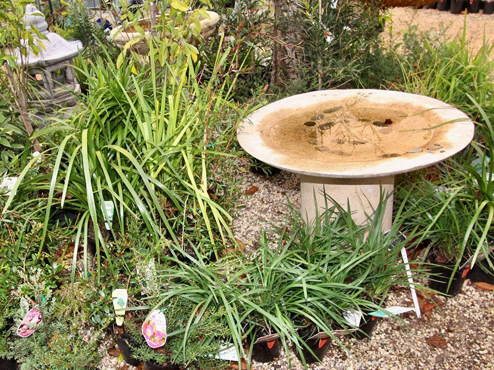 Birdbath