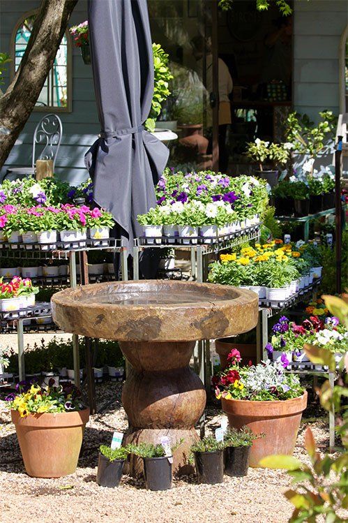 Birdbath
