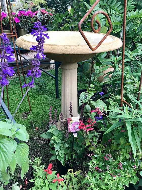 Birdbath
