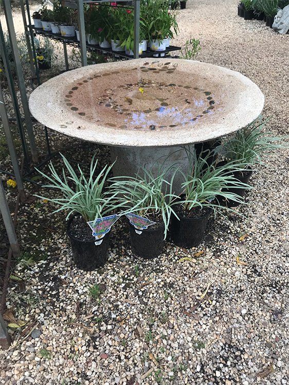 Birdbath