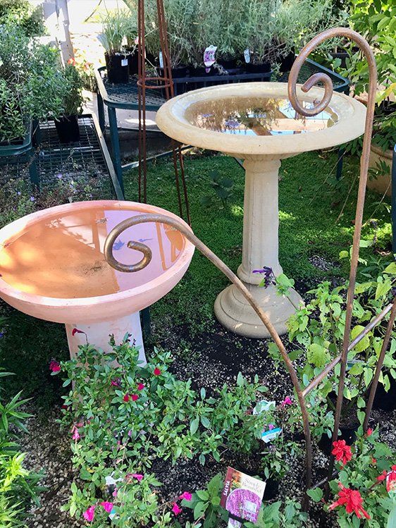 Birdbath