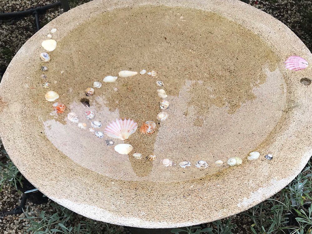 Birdbath