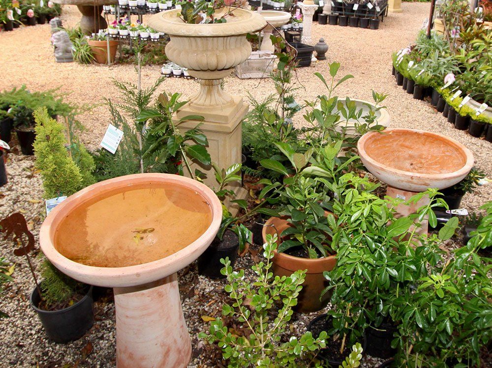 Birdbath