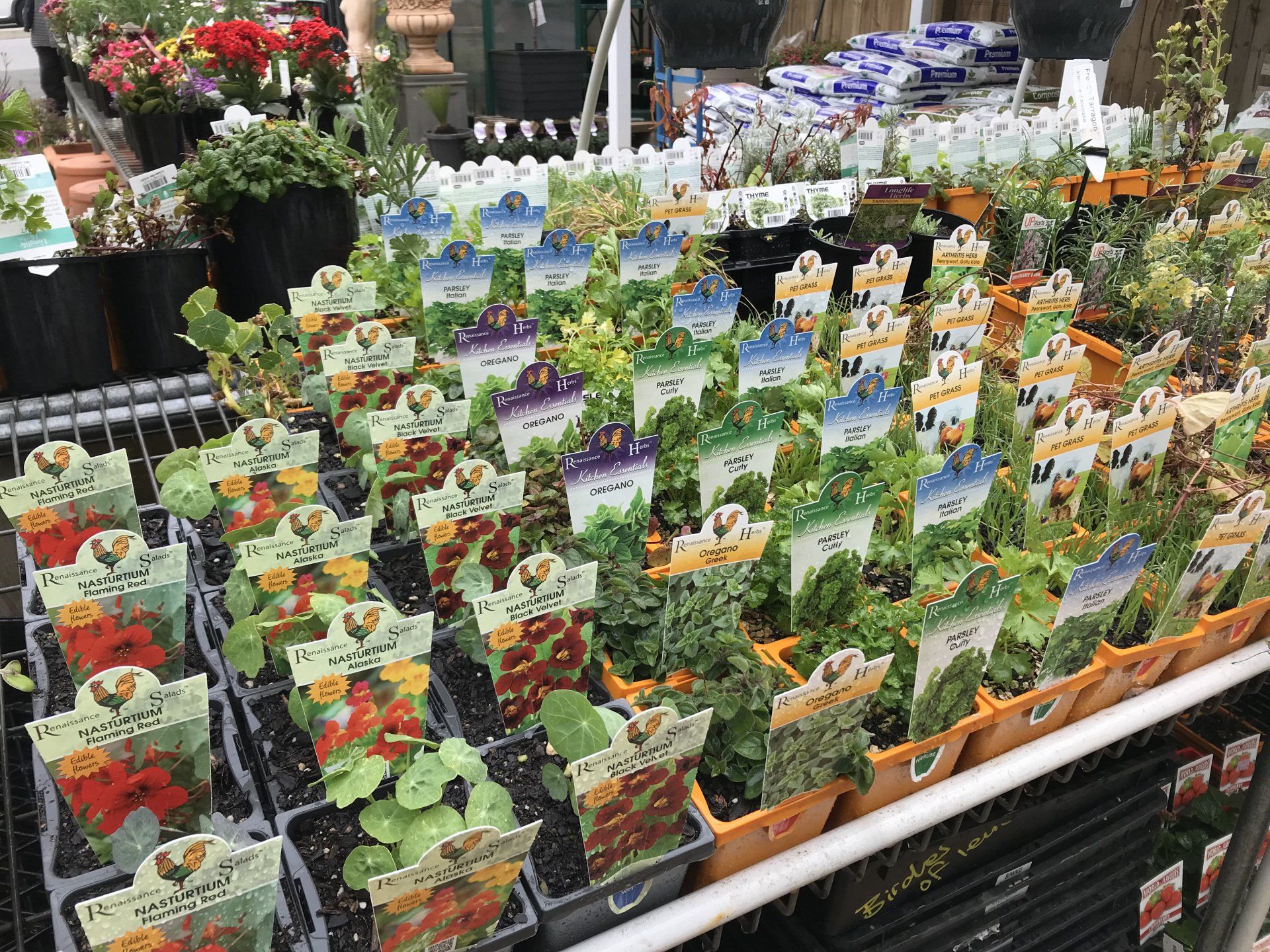 herbs