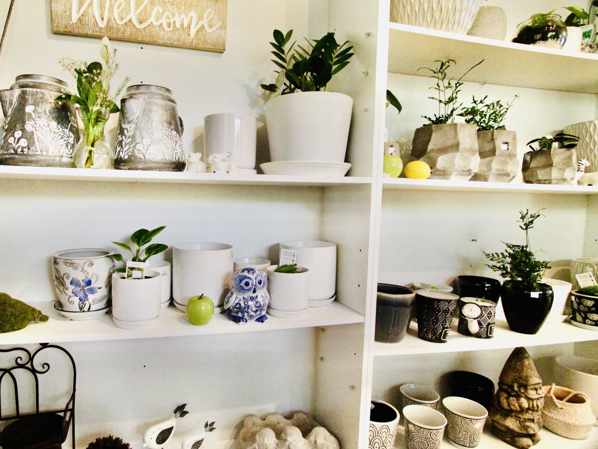 indoor pots
