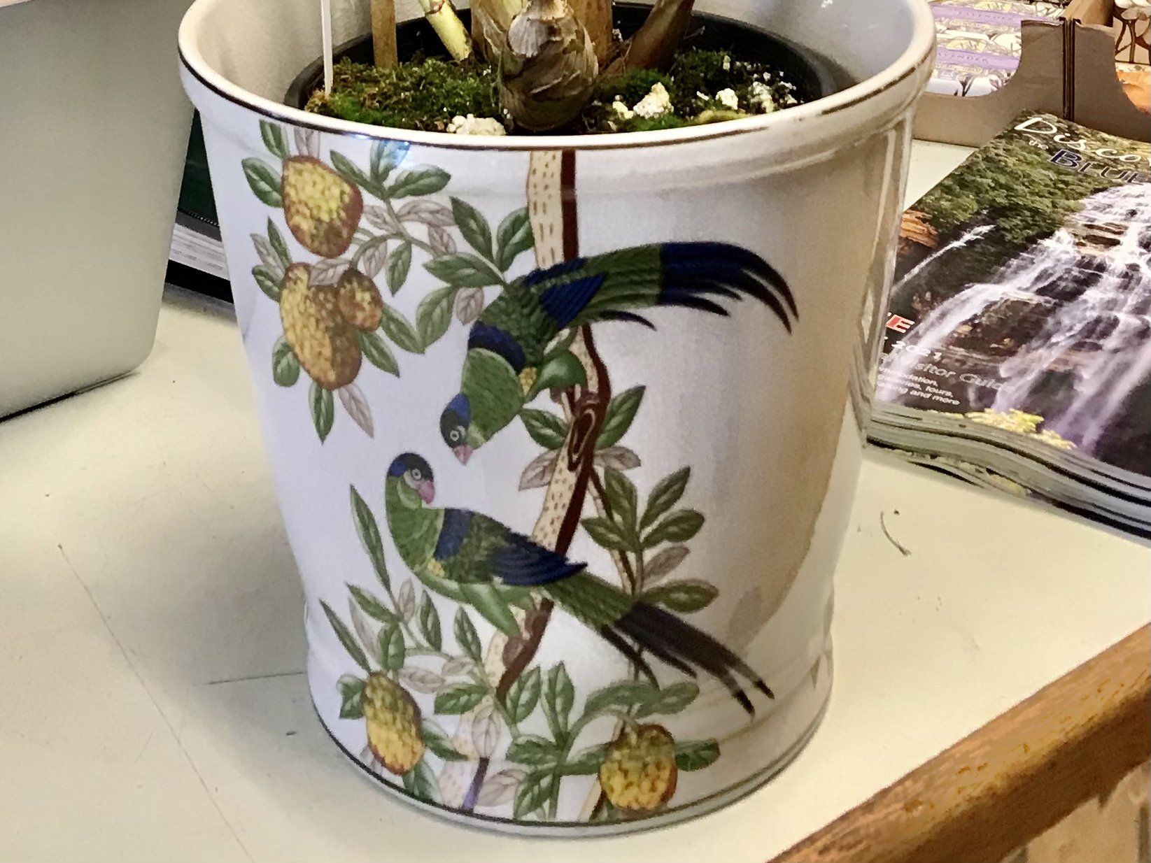 indoor pots
