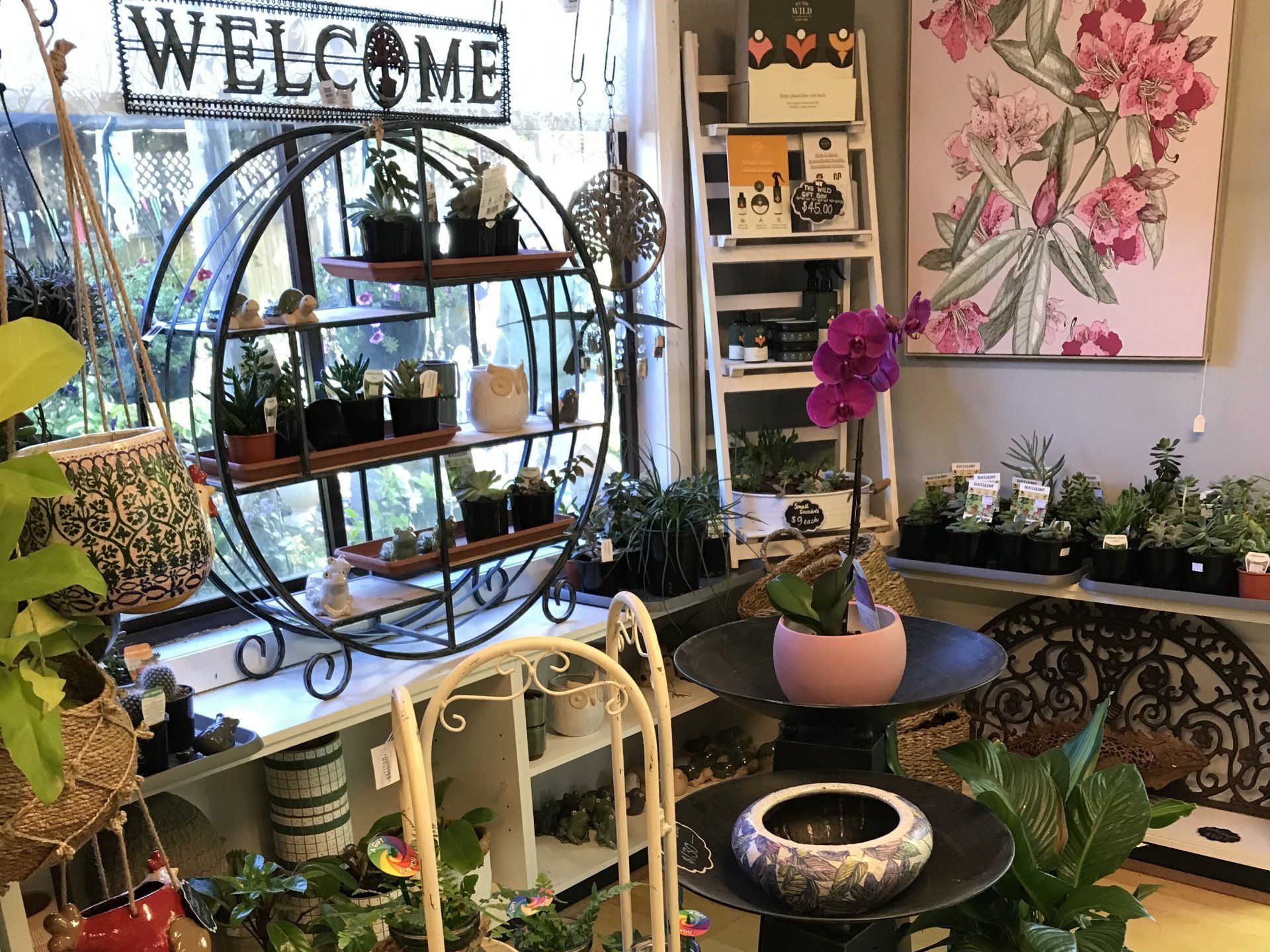 plant stand