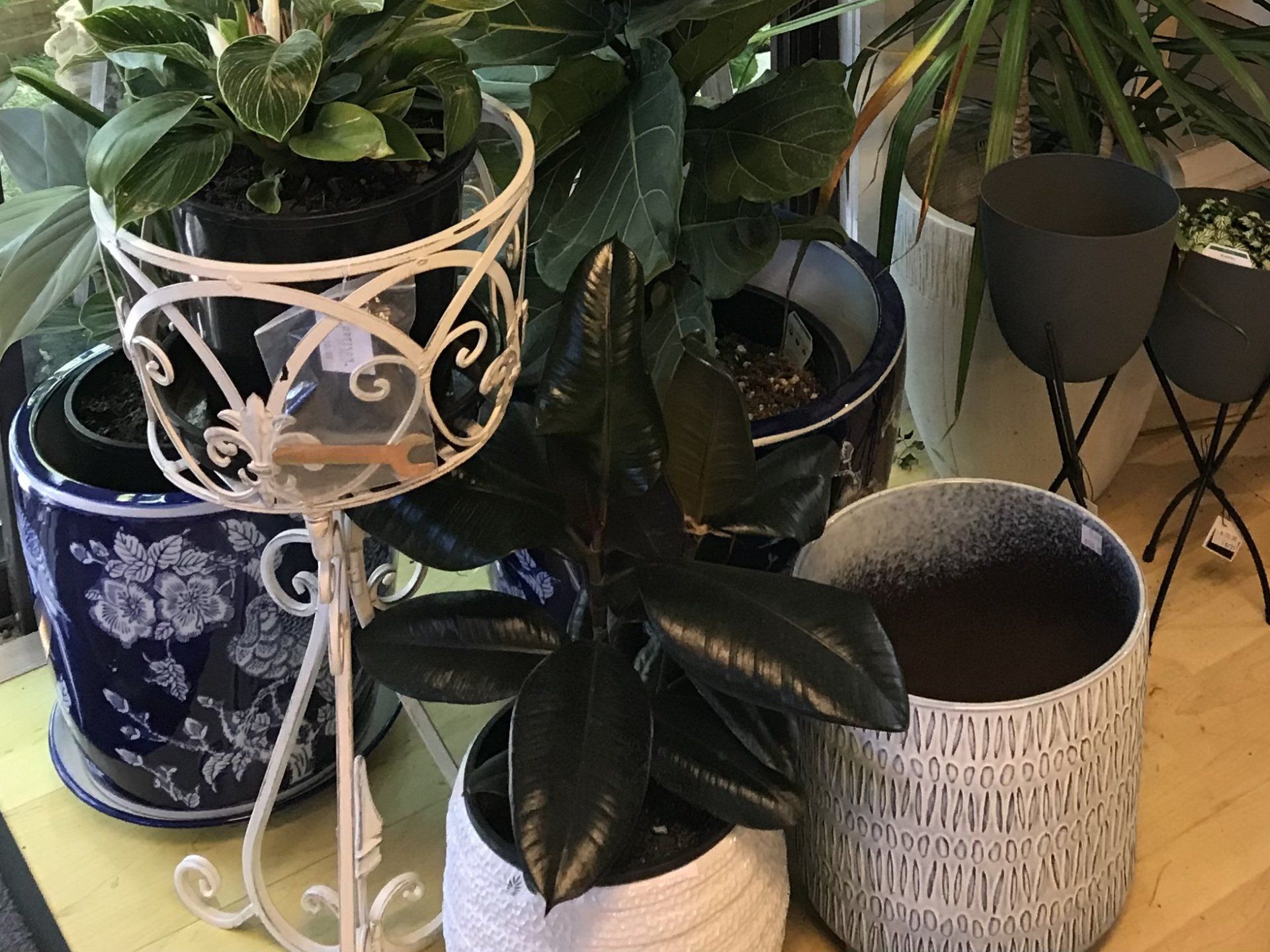 plant stand