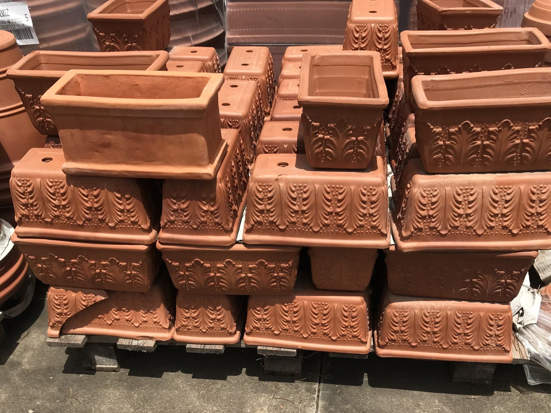 terracotta pot