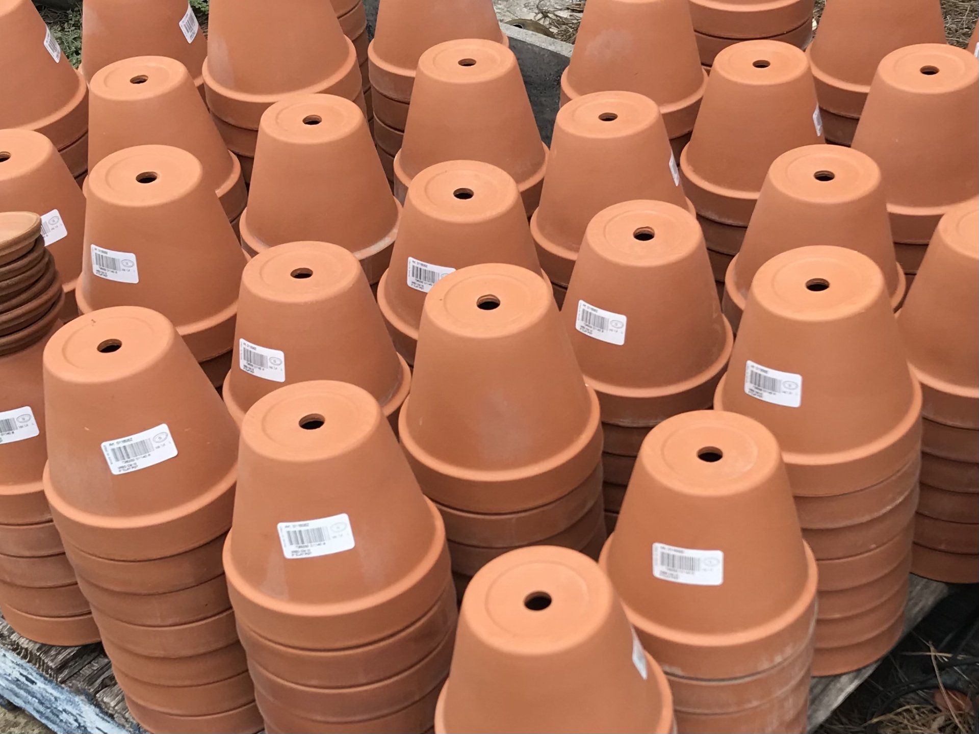terracotta pot