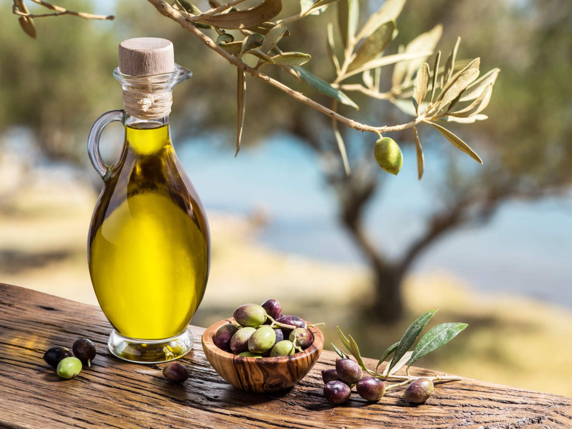 olio EVO