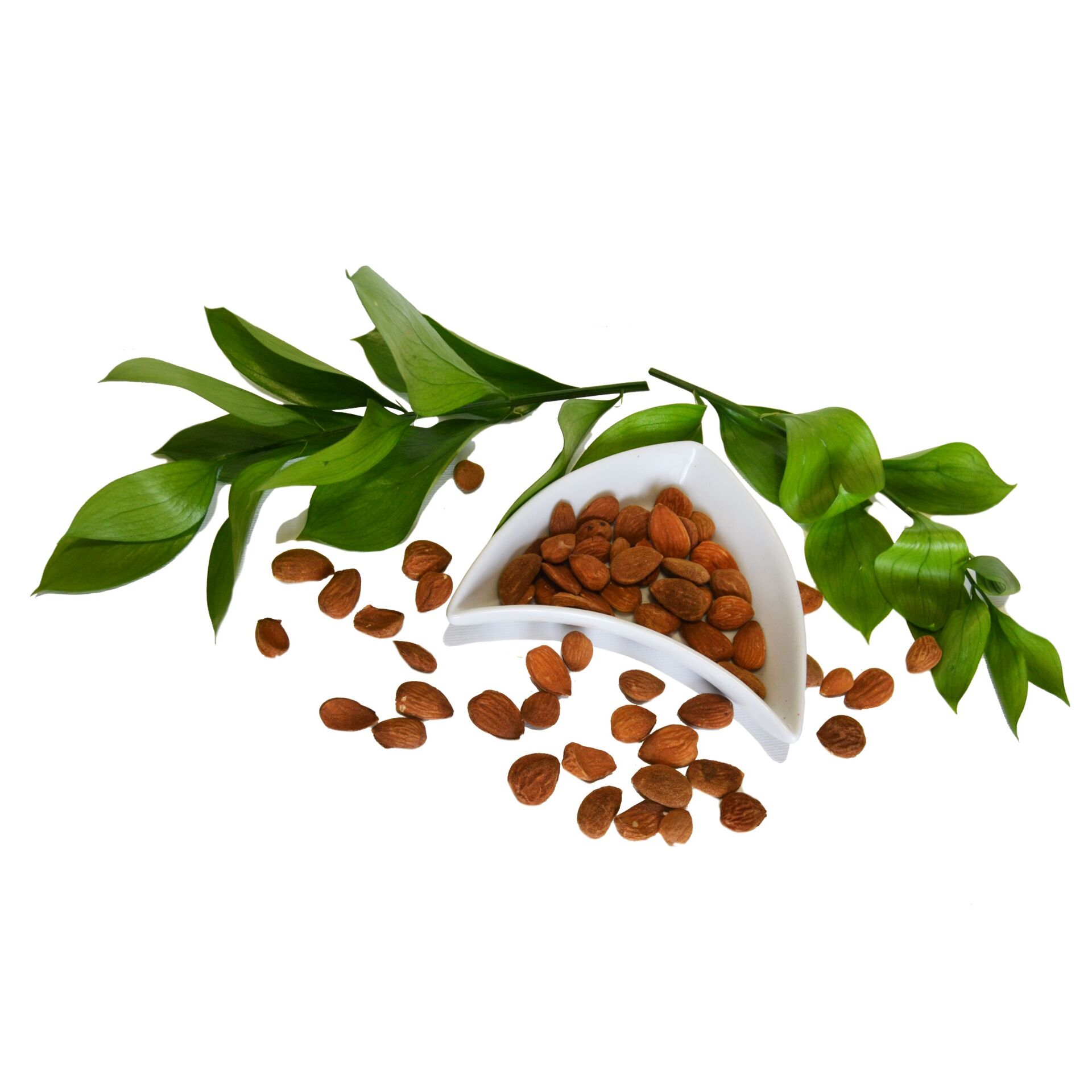 fagioli scuri
