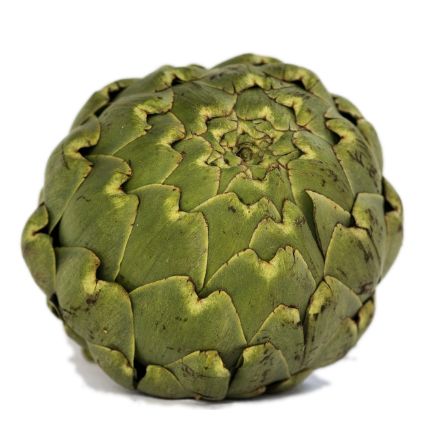 carciofo