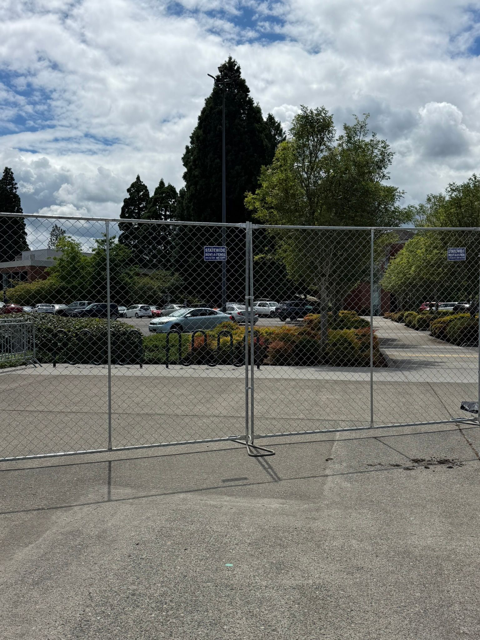 Rows of stacked metal bike racks on a sunny pavement beside trees and a building