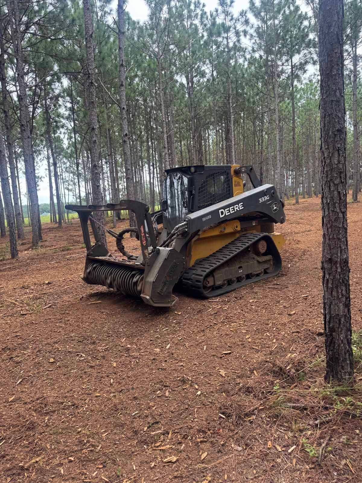 A John Deere forestry mulcher clearing an area of pine trees in a forest.