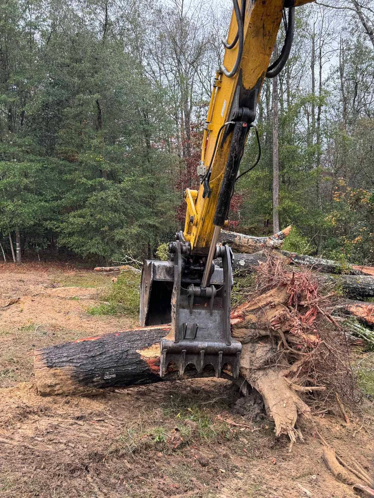 Excavator bucket removing a tree trunk in a wooded area.