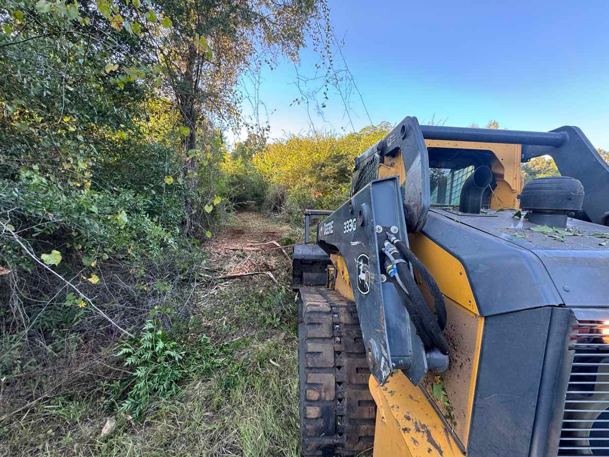 Yellow skid steer clearing brush along a wooded path.