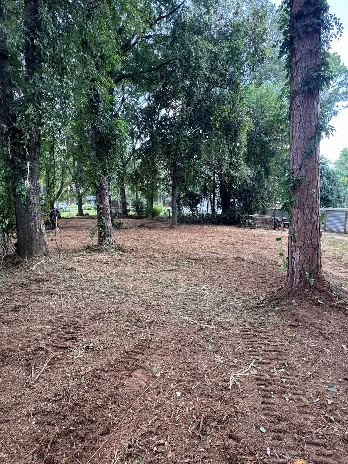 Dirt clearing in a wooded area, with tire tracks and trees.