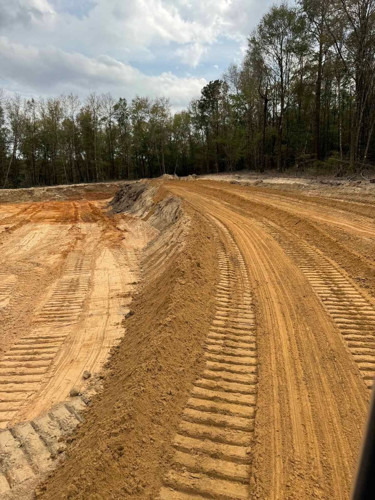 Dirt road with tire tracks, trees in background, overcast sky.