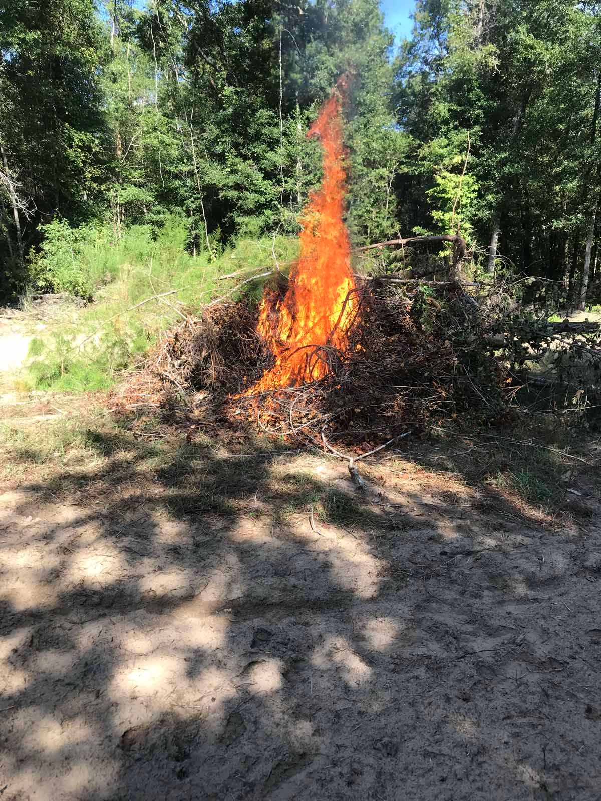 Pile of burning brush; flames reach high in a wooded area.