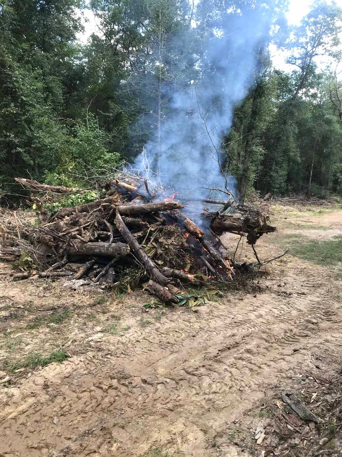 Pile of brush and wood burning with thick smoke rising into a forest.