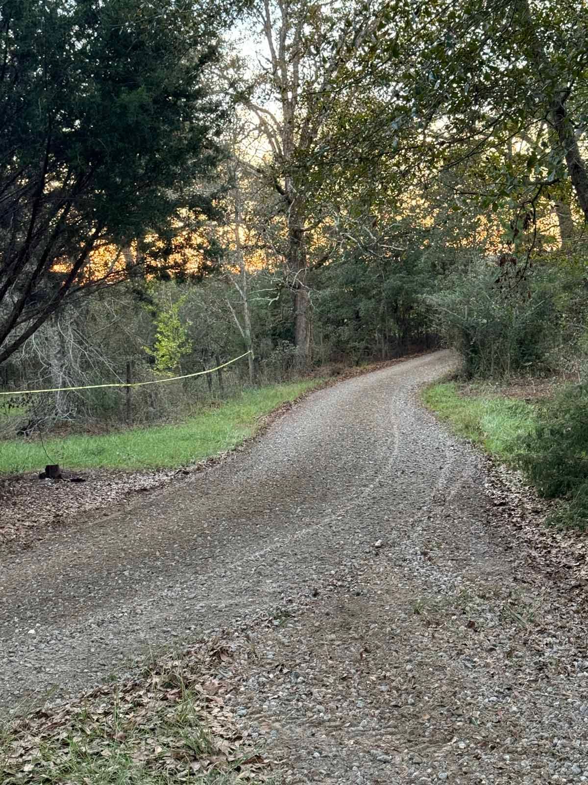 Gravel road curves through a wooded area, leading towards a clearing. Warm sunlight filters through the trees.