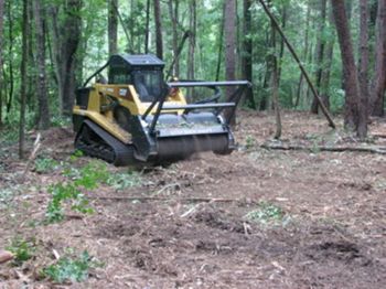 forestry clearing - lee tree service - tree removal richmond va
