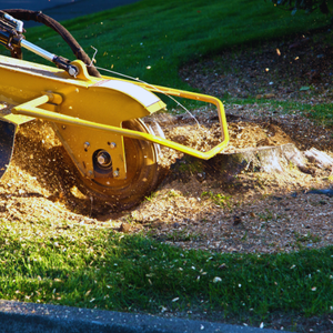stump removal richmond va - lee tree service