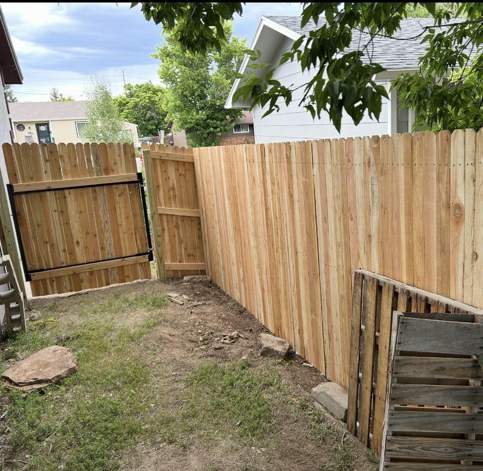 Wooden privacy fence enclosing a small backyard with a gate and patchy grass under trees.