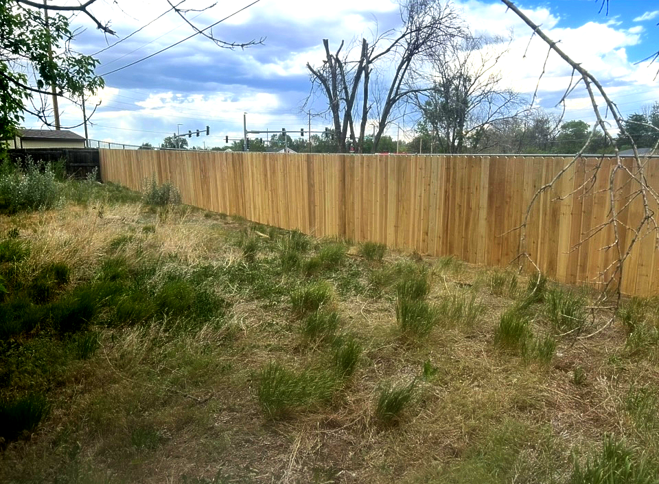 Grassy backyard with a long wooden fence under a partly cloudy sky.