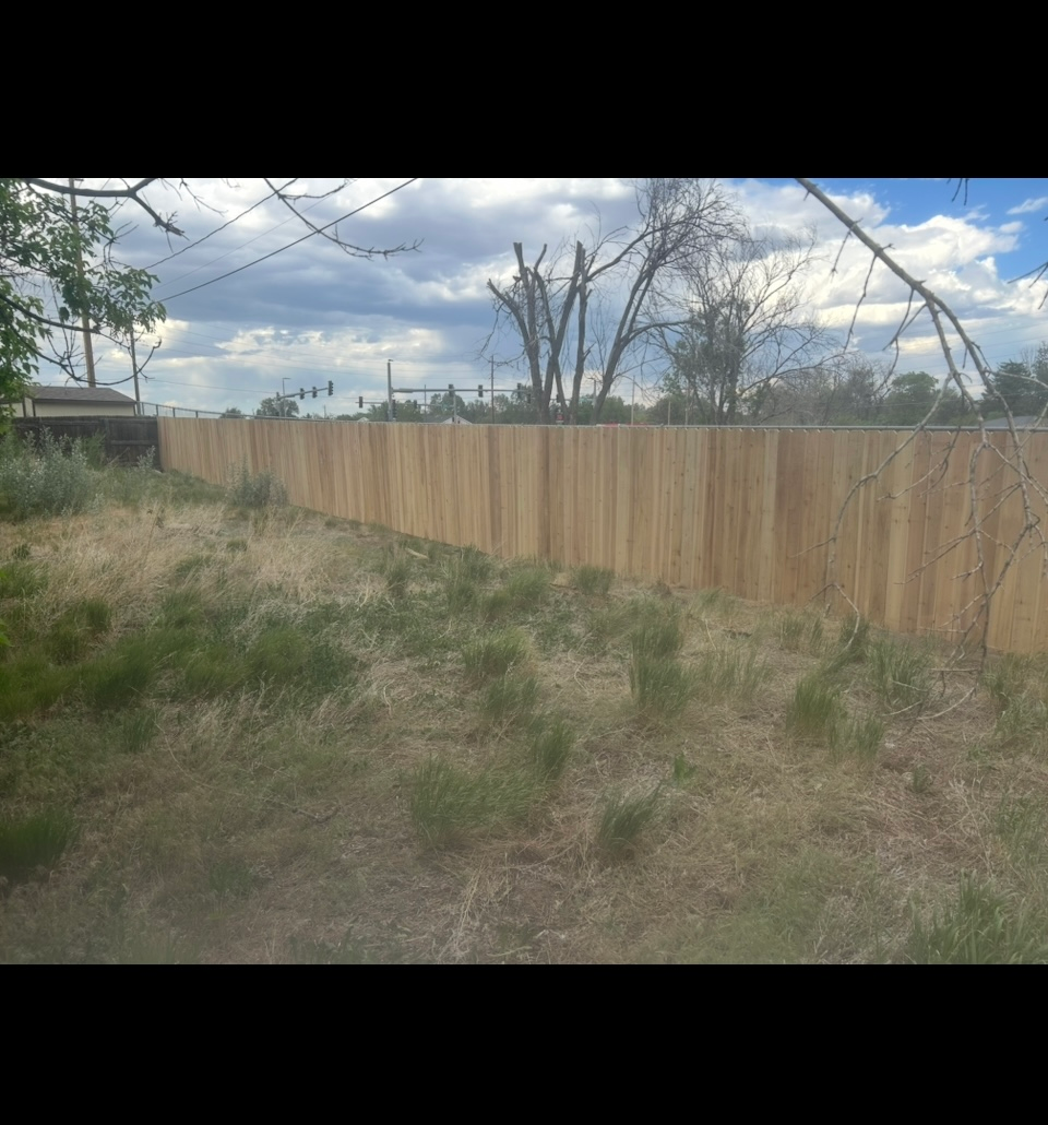 Grassy yard beside a tan wooden fence under a partly cloudy sky
