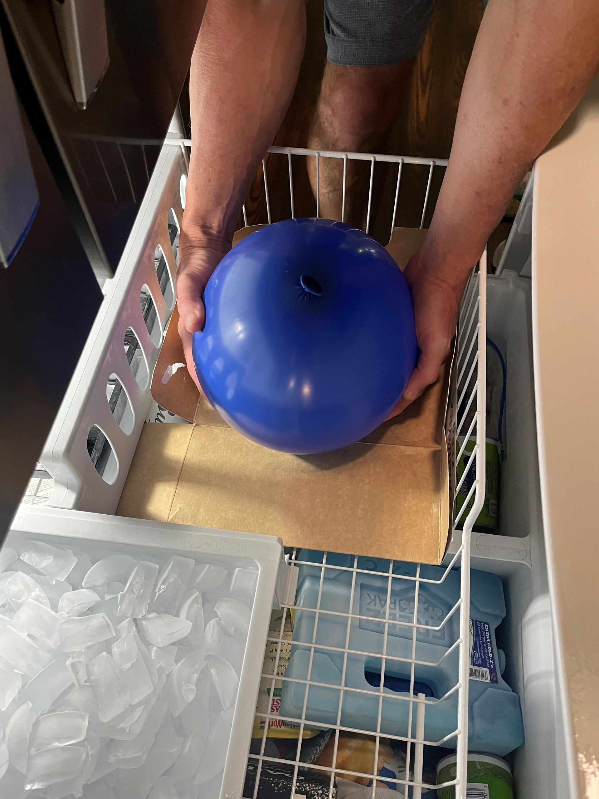 Person placing a large blue balloon into a freezer drawer.