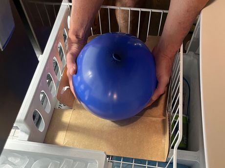 Hands holding a large blue balloon in a freezer drawer, likely to freeze it.