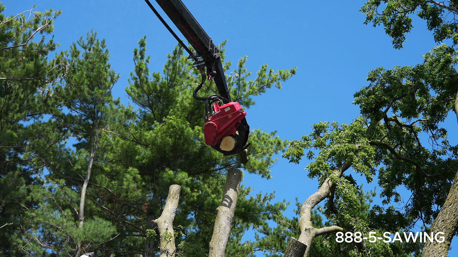 grapple saw truck trimming a tree in alton, il 