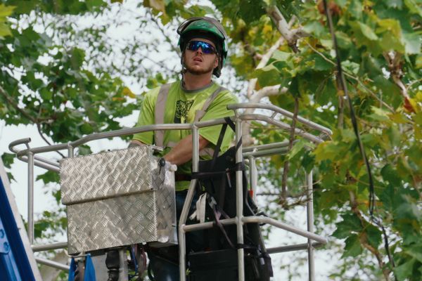 alex using a lift to remove tree in alton il