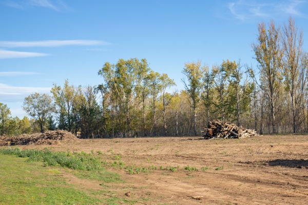 land clearing and lot clearing in arnold mo