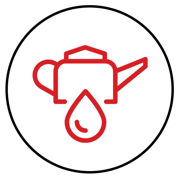 Icon Öle