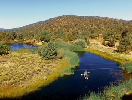 california