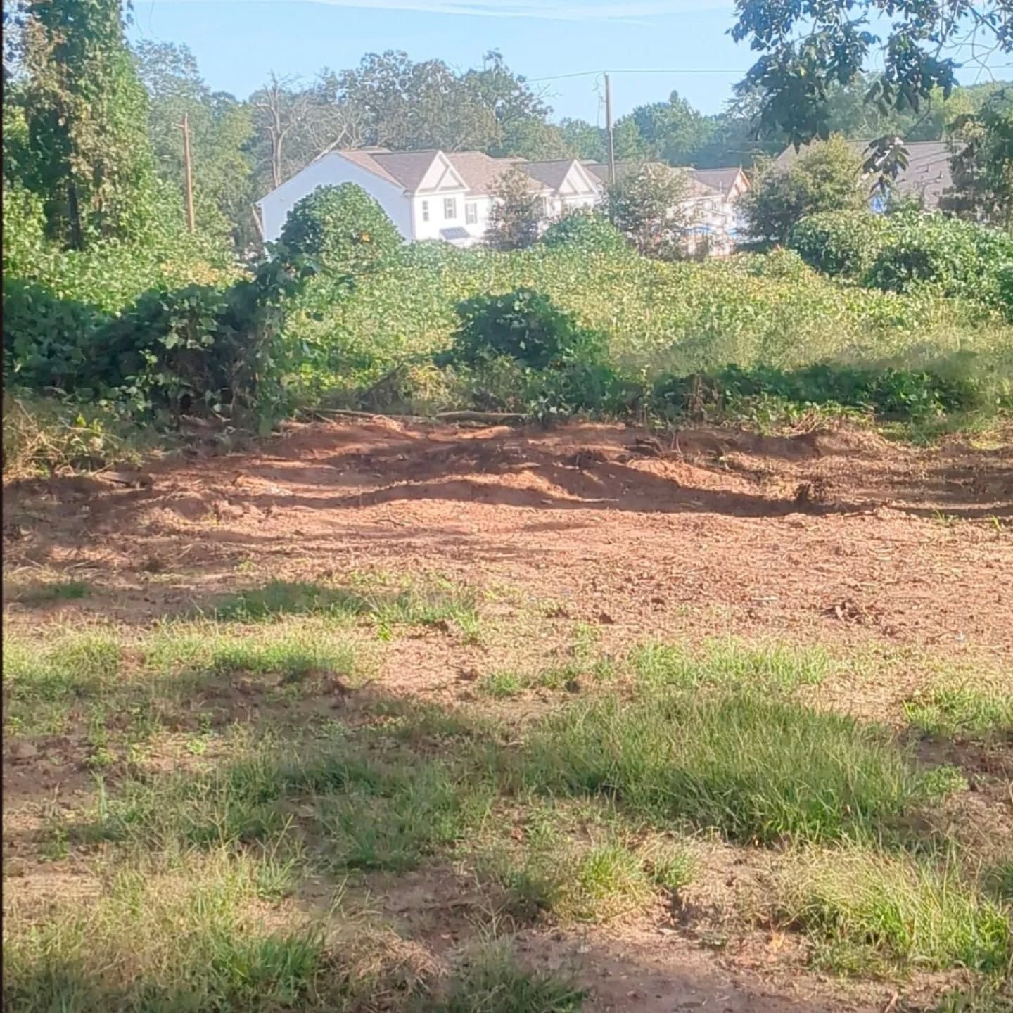 Cleared, brown dirt patch with overgrown green weeds and houses in the background.