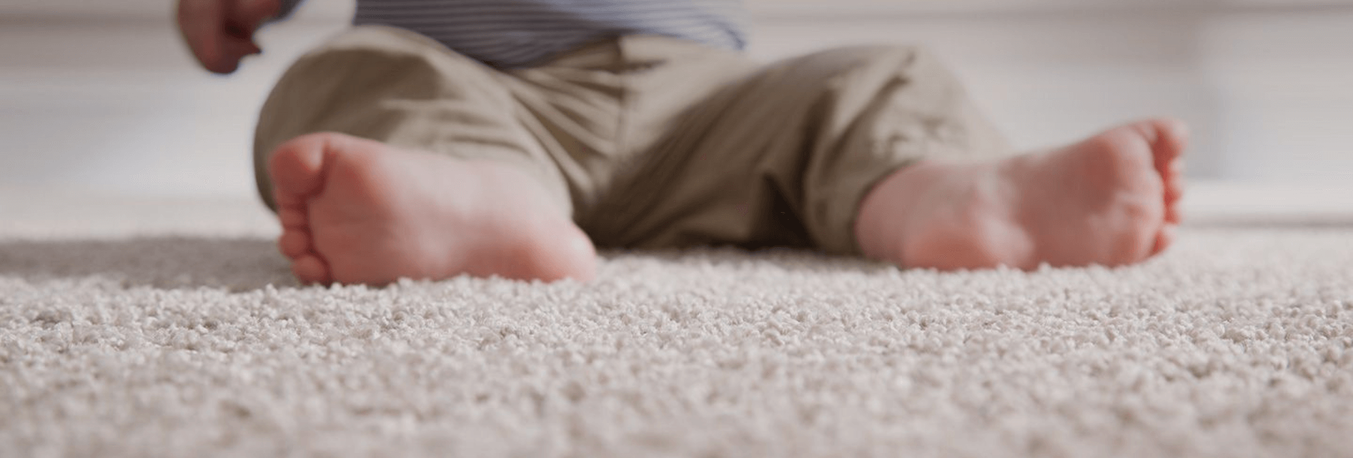 How to Eliminate Dust Mites in Your Carpet The Best Ways