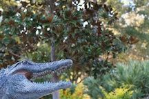 The University of Florida Campus: Visit the UF during your stay at The Laurel Oak Inn
