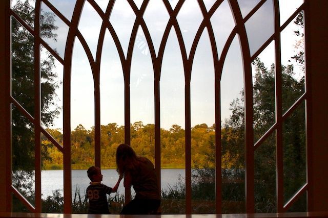 The University of Florida Campus: Visit the UF during your stay at The Laurel Oak Inn