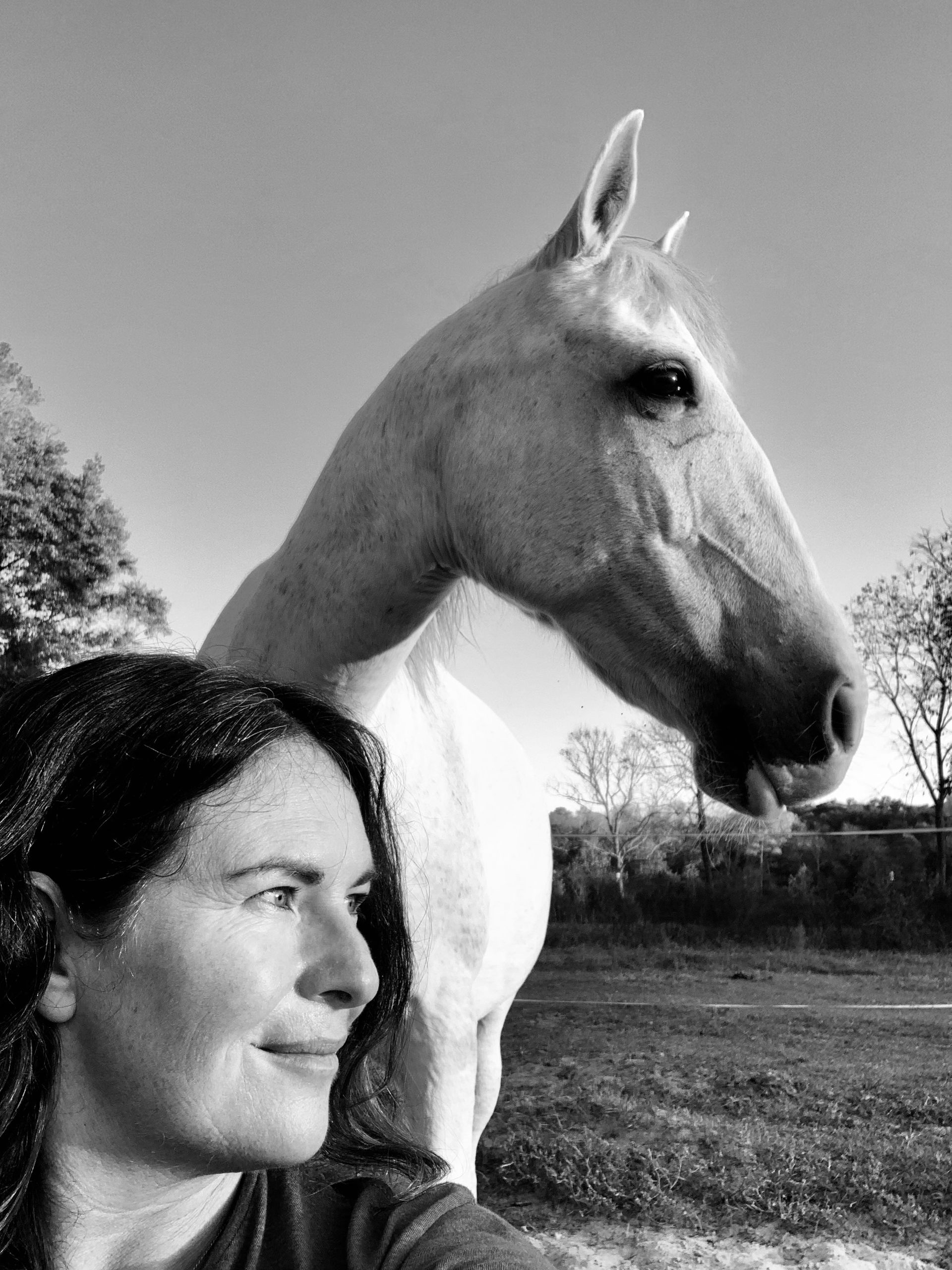 Woman beside white horse in a field, both in profile under a clear sky